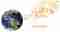 SKILLED INTERPRETER FOR GERMAN AND PORTUGUESE